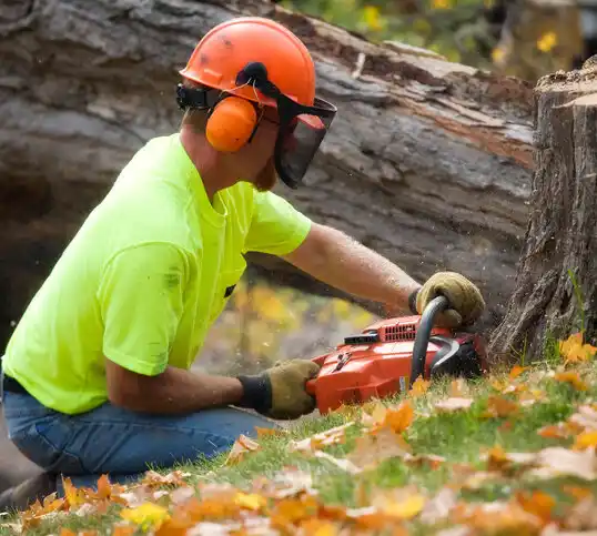 tree services Waterproof